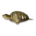Brass Metal Craft (Dokra) Tortoise with a structure Brass Metal Craft (Dokra) Tortoise with a structure