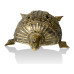 Brass Metal Craft (Dokra) Tortoise with a structure Brass Metal Craft (Dokra) Tortoise with a structure