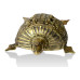 Brass Metal Craft (Dokra) Tortoise with a structure Brass Metal Craft (Dokra) Tortoise with a structure