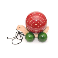 Cute Turtle Large Cute Turtle Large