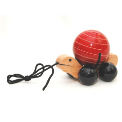 Cute Turtle Small Cute Turtle Small