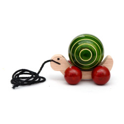 Cute Turtle Small Cute Turtle Small