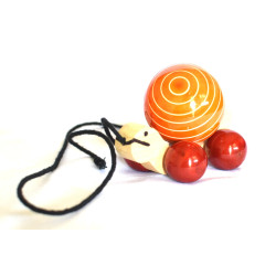 Cute Turtle Small Cute Turtle Small