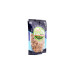 Ecofresh Organic Food Natural Almond - 100 GMS