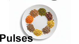 Organic Certified Pulses